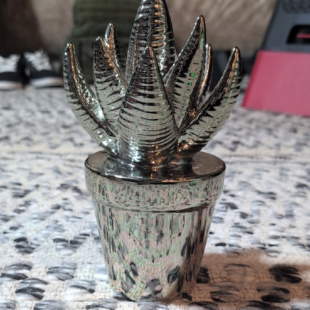 Ceramic Chrome Succulent